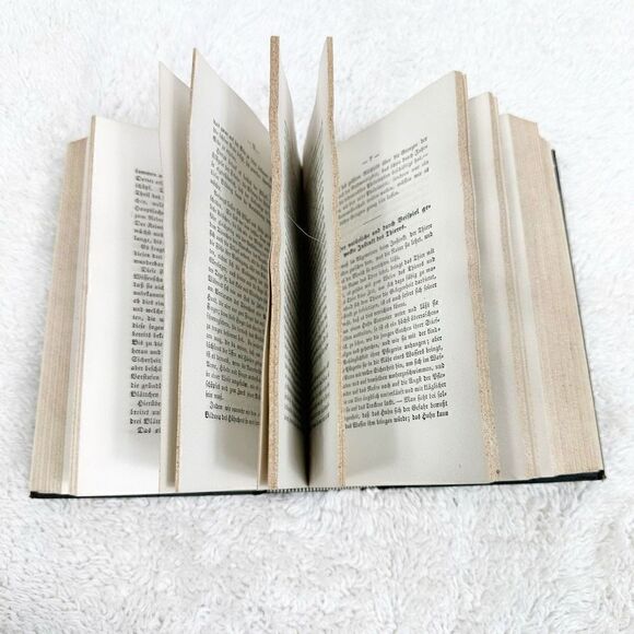 German Popular Science Library Volume 2 Natural Science Book HB 1878 - Picture 5 of 16